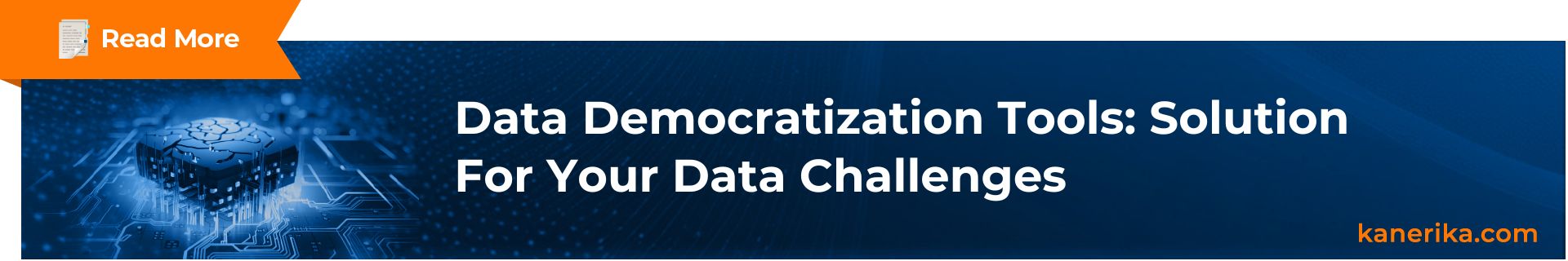 Data Democratization